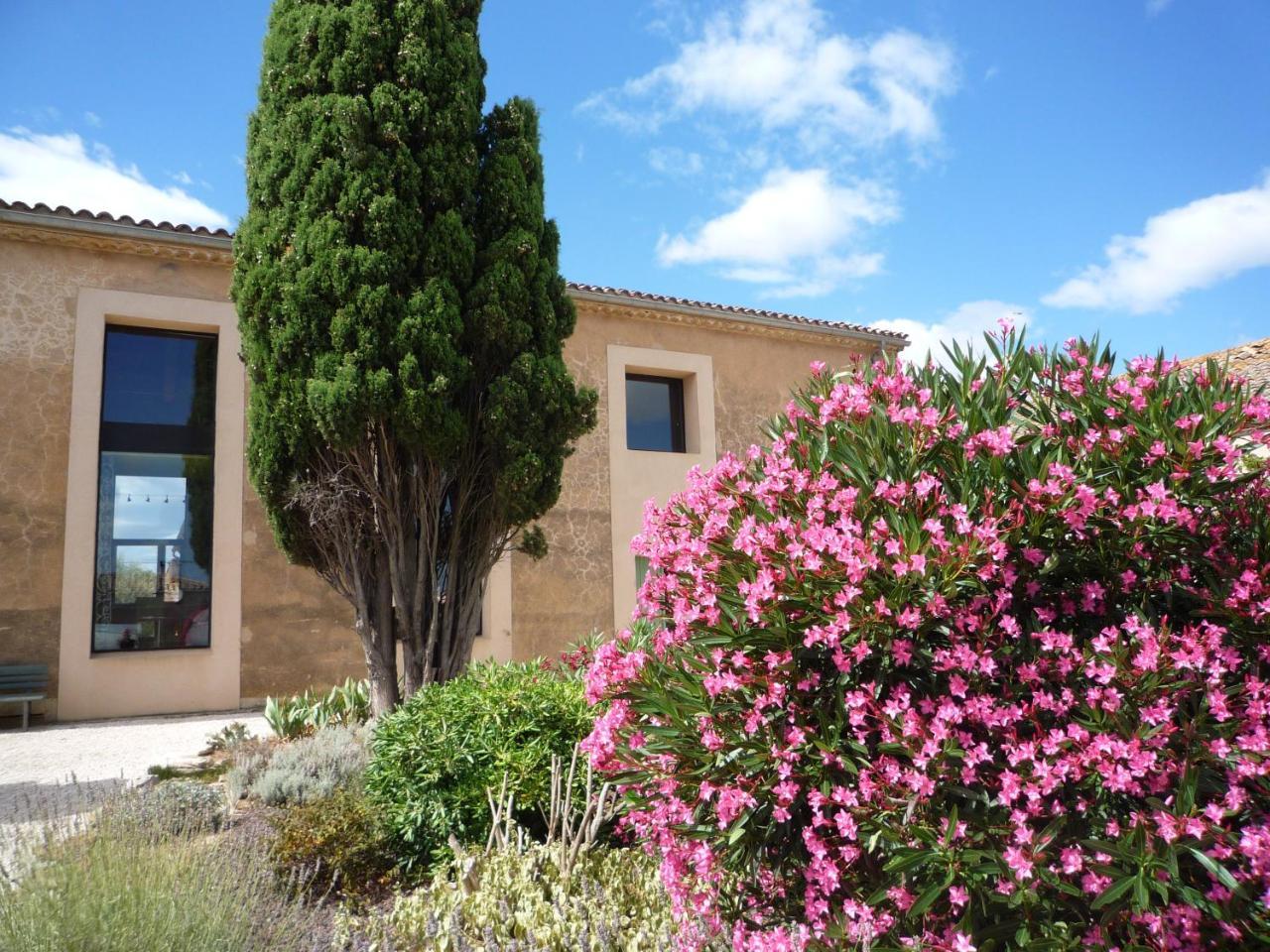 Chambre D'Hotes Nature Et Saveurs Boutenac Εξωτερικό φωτογραφία