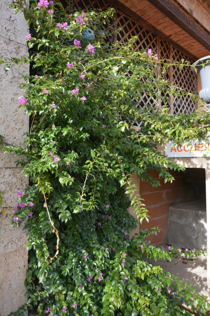 Chambre D'Hotes Nature Et Saveurs Boutenac Εξωτερικό φωτογραφία